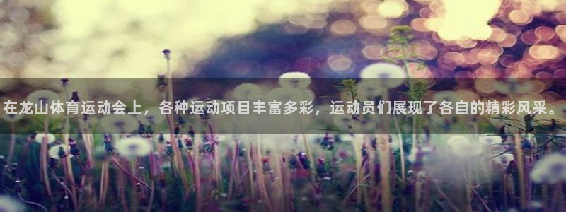 k1体育网址