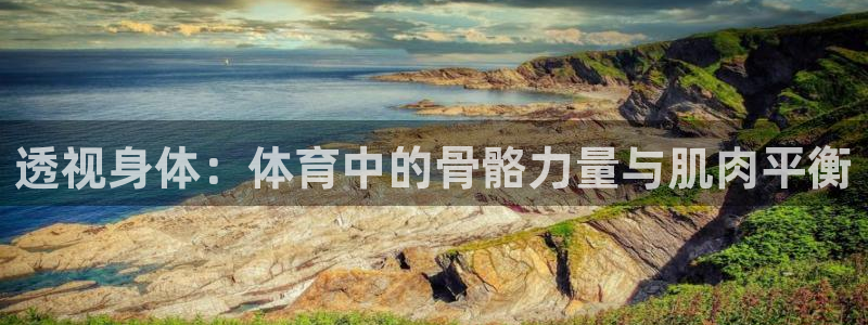 k1体育app下载链接