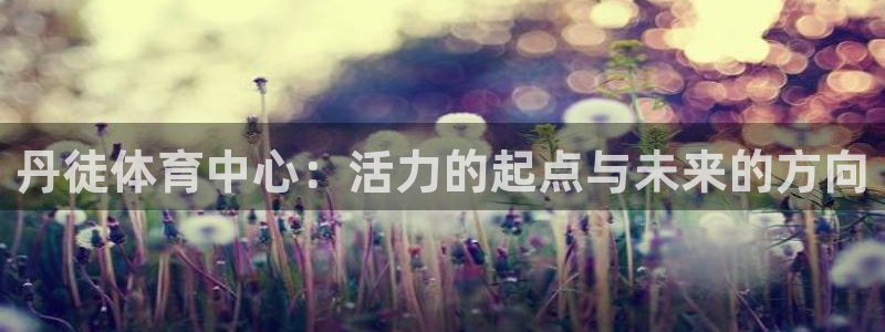 k1体育平台下载
