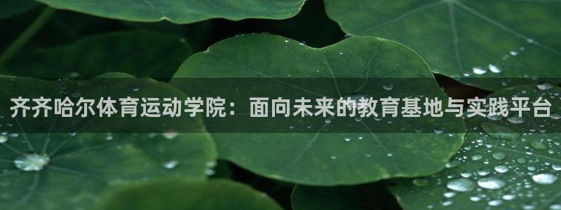 k1体育网址是多少