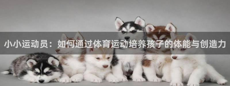 k1体育下载地址