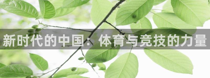k1体育app