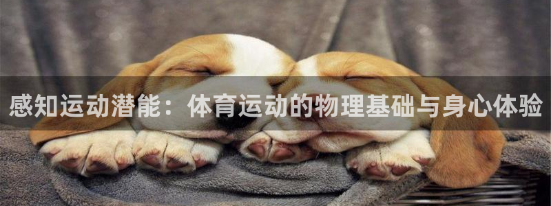 k1体育十年品牌值得信赖
