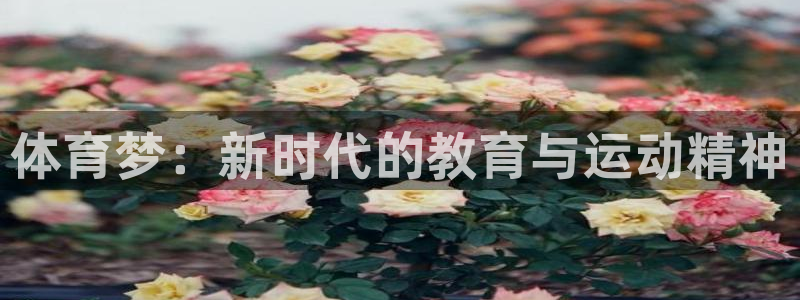 k1体育平台下载