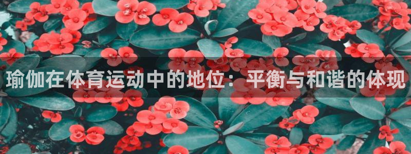k1体育app下载