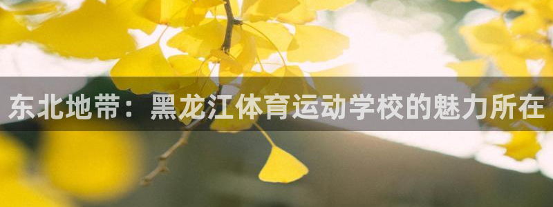 帮k1体育在线登录