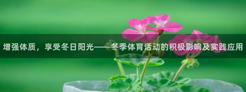 k1体育app下载链接